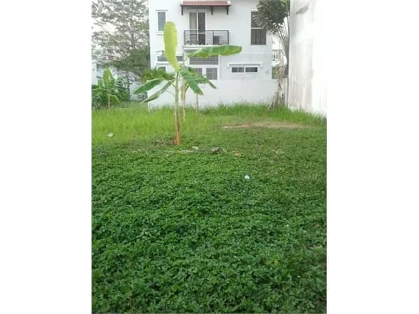 Bán đất nền nhà phố Nam Long Trần Trọng Cung