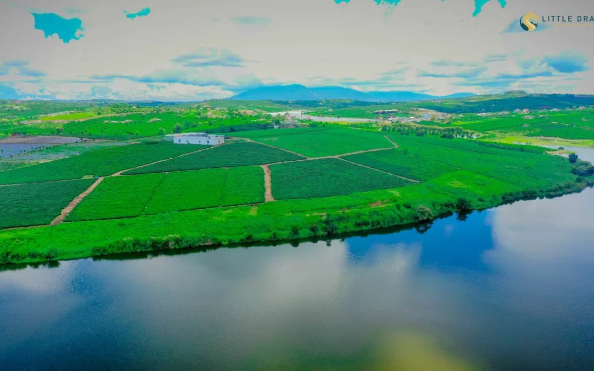 Bất động sản Lâm Hà ‘hút’ giới đầu tư nhờ yếu tố ‘đất nền giá rẻ’
