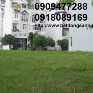 Bán đất phường Tân Hưng