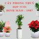Cây cảnh hợp phong thủy với tuổi Đinh Mão