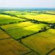 Tìm hiểu về đất nông nghiệp