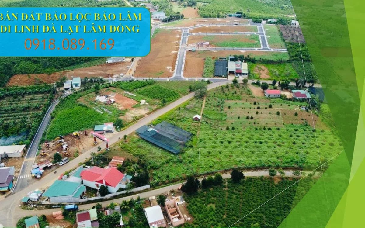Bán đất Bảo Lộc Bảo Lâm Di Linh Đà Lạt Lâm Đồng