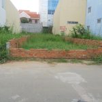 DSCN3787