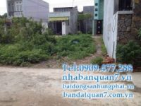 Bán đất phường Tân Hưng