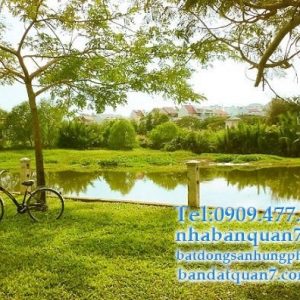 Bán đất mặt tiền đường số 65 Tân Quy Đông