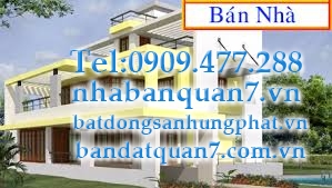 Bán nhà hẻm 791