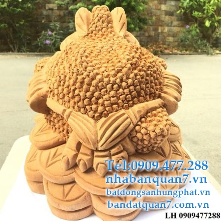 Bán Cóc gỗ xá xị
