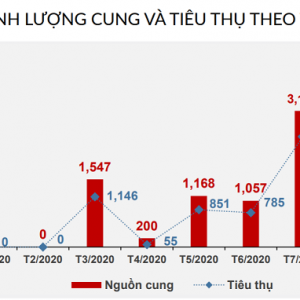 dien bien thị truong dau nam