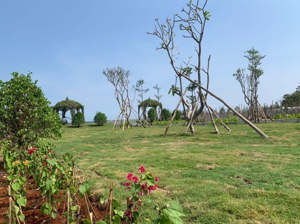 du an hiep phuoc harbour view9