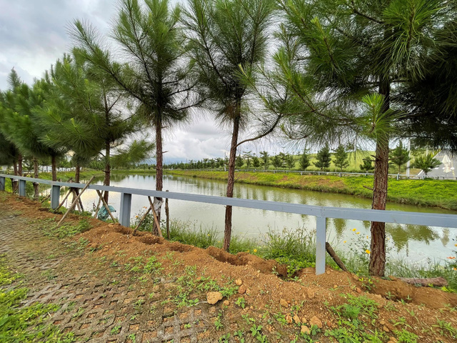 Bảo Lộc đang ngày càng đẹp hơn trong mắt các nhà đầu tư trong và ngoài nước.
