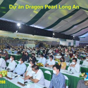 dragon pearl (5)