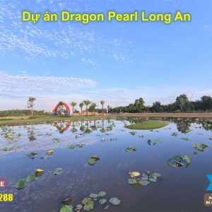 dragon pearl (8)