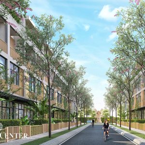 Phoi-canh-townhouse-Green-Center-Long-An