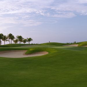 sea link golf