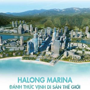 Dự án Đại đô thị Halong Marina (1)