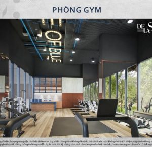 de la sol phong-gym