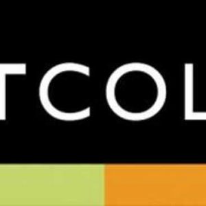 logo-Belt-Collins-International (1)