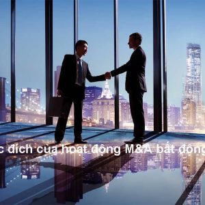 Mục-đích-của-hoạt-động-MA-bất-động-sản (1)