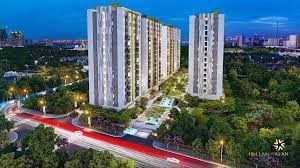 tải xuống (11)-min