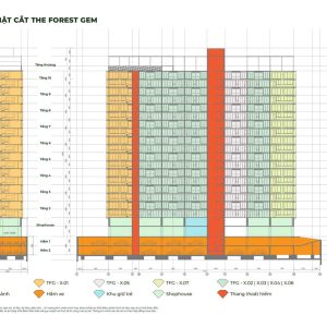 Mat-cat-dung-Du-an-Can-ho-The-Forest-Gem-Binh-Thanh-min