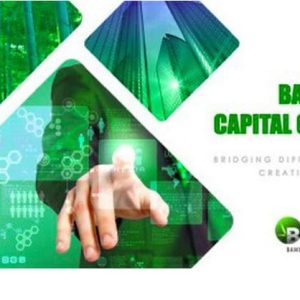 bamboo-capital-group-min