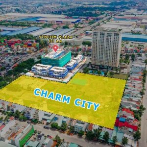 Charm-Diamond vitri1 (FILEminimizer)