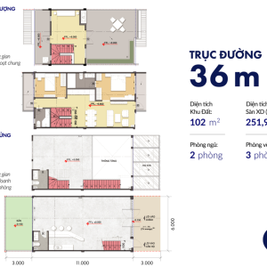 shophouse truc 36m